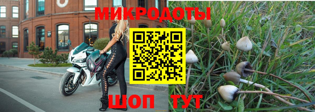 Псилоцибиновые грибы Psilocybe  продажа наркотиков  Вход с VPN  Чехов  Галлюциногенные грибы GOLDEN TEACHER 