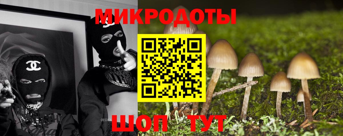 Галлюциногенные грибы Psilocybe Чехов
